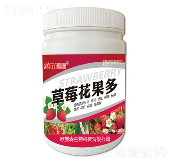 ��ݮ������-�W��ɭ