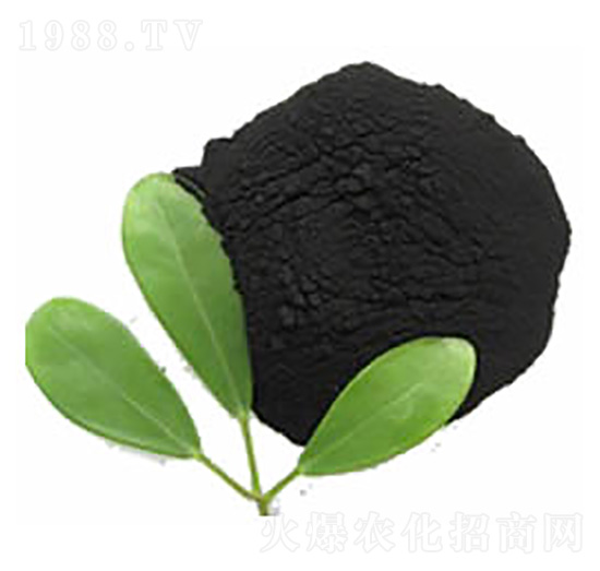 ������ֲ��-�����ʘI(y��)