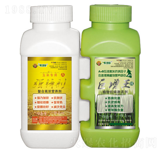 ���������׌���-�r(n��ng)�̘�