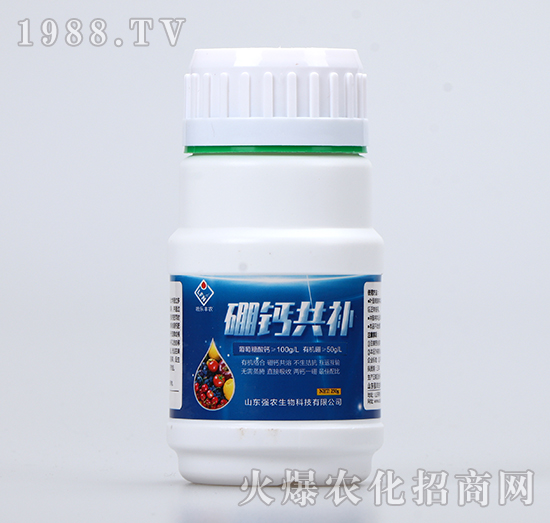 ���}���a(b��)-��(qi��ng)�r(n��ng)����