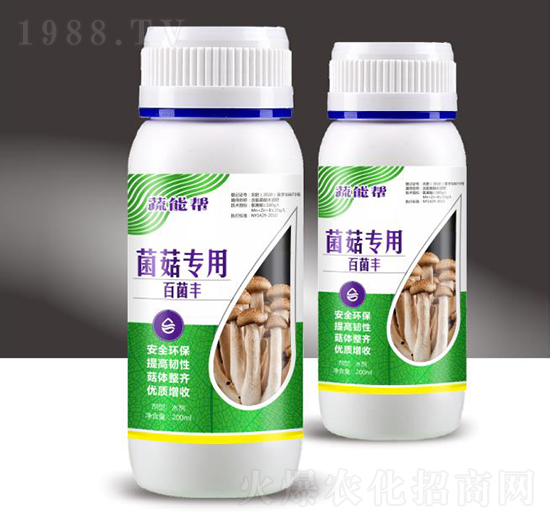 �������ðپ��S-���܎�-��M�}(c��ng)