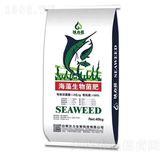 �����������-������-��������