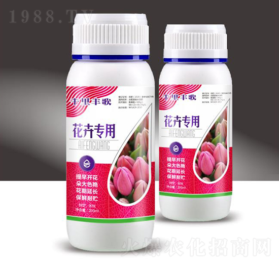 ���܌���-ǧ���S��-��M�}