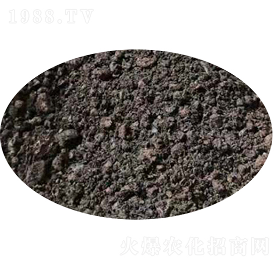 ��ȩ��-��������