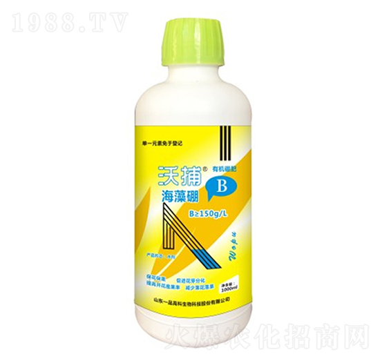 ������-�ֲ�-���r˼�_