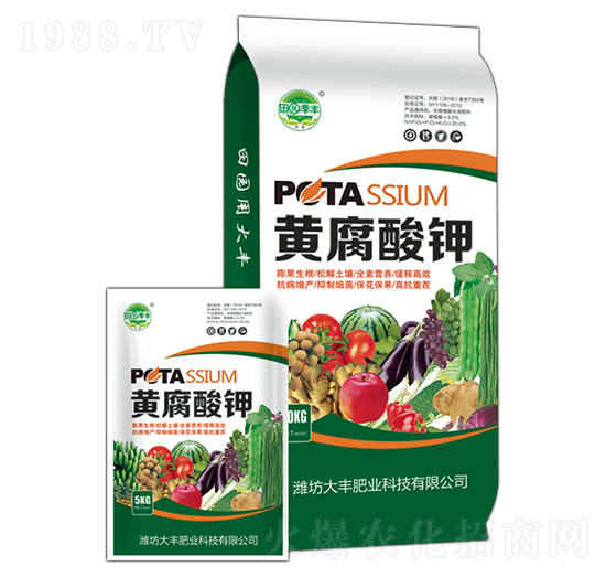 �S�����-��@���S-���S�ʘI(y��)