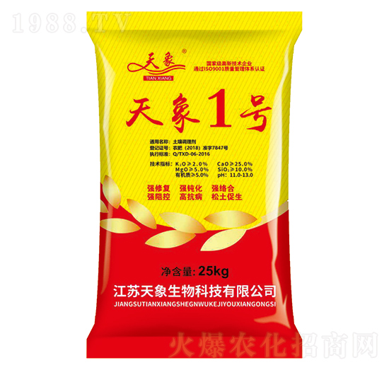 ����1̖-��������