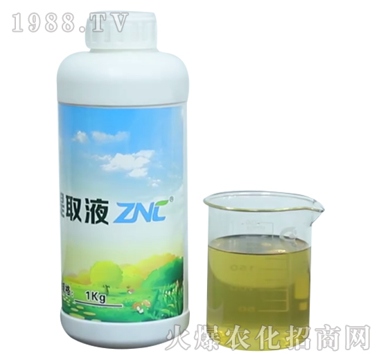 ZNCԭҺ-�����