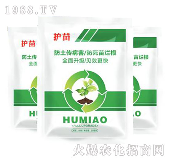 �o��-����ֲ��