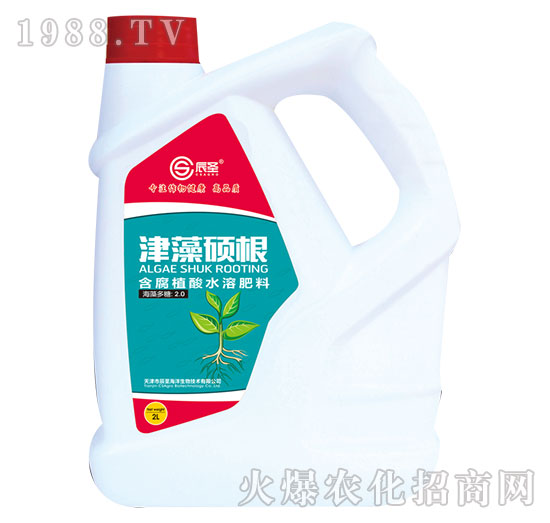 ����T��-��ʥ����