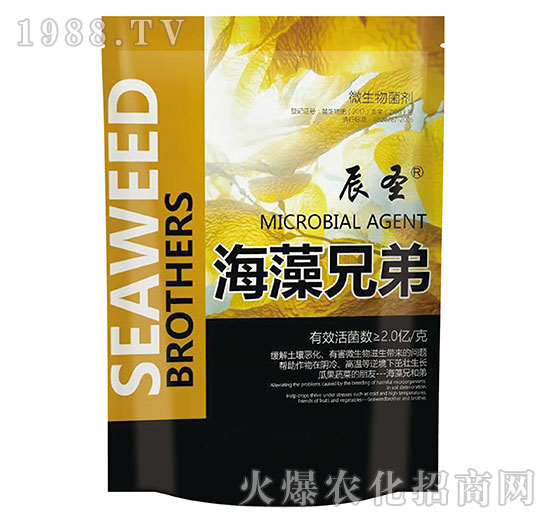 �����ֵ�-��ʥ����