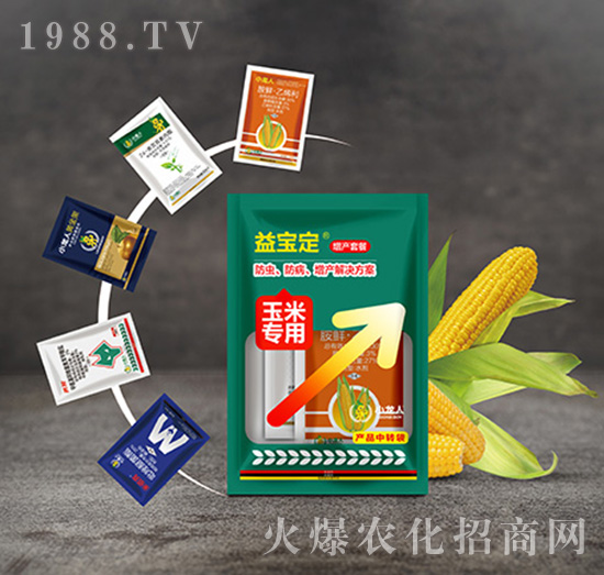 ���a�ײ�-�挚�����׌���-С����