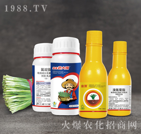 5%�����+25��ÿ���������-�ϴ���½M��-С����