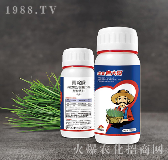 �[���⌣��-�¾��ϴ��-С����