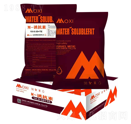 M-�T����15-5-35+TE-Ħϣ-�۹��Է