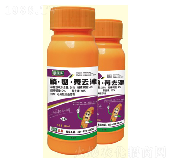 24%��������ݬȥ��-��Gֲ��