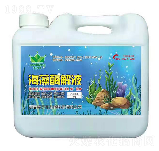 ����ø��Һ-�����S