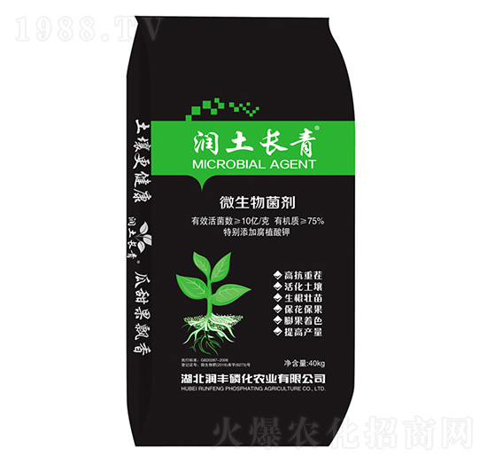 ΢�������-��(r��n)���L(zh��ng)��-��(r��n)�S�׻�