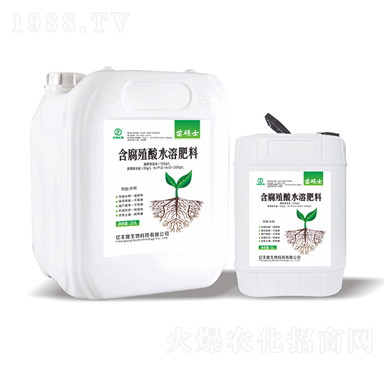 ����ֲ��ˮ�ܷ���-��Tʿ-�|�S¡