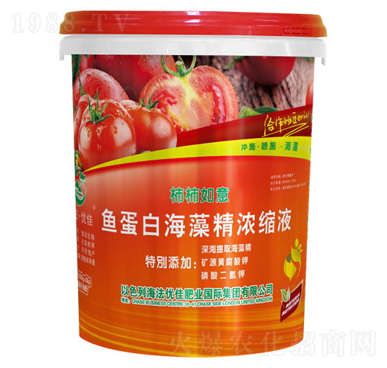 �~���׺����sҺ-��������-������(y��u)��