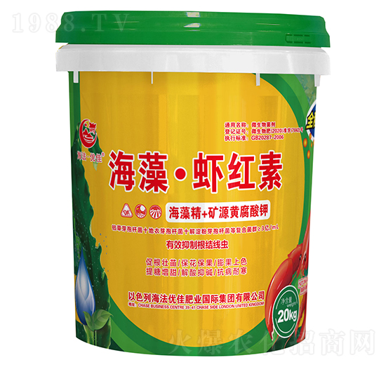 ���塤�r�t��-������(y��u)��