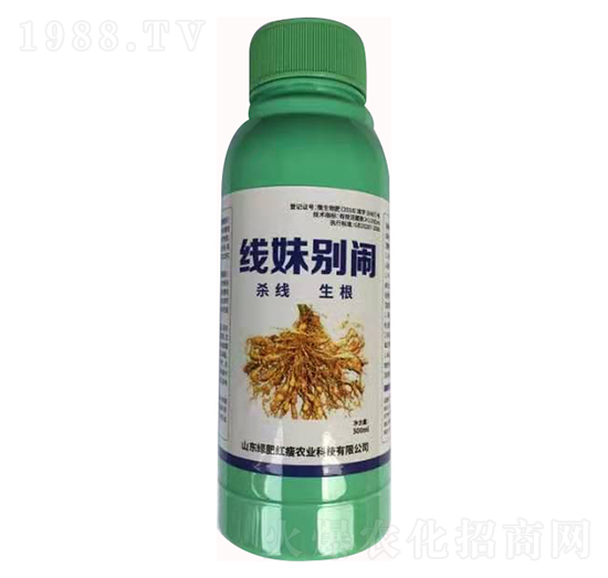 ���Äe�[�����ξ��x(ch��ng)��-�G�ʼt��