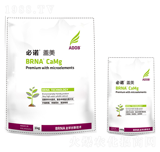 ���Z�w��-���r(n��ng)�̩