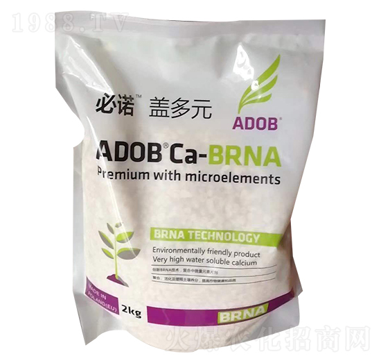 2kg���Z�w��Ԫ-���r(n��ng)�̩