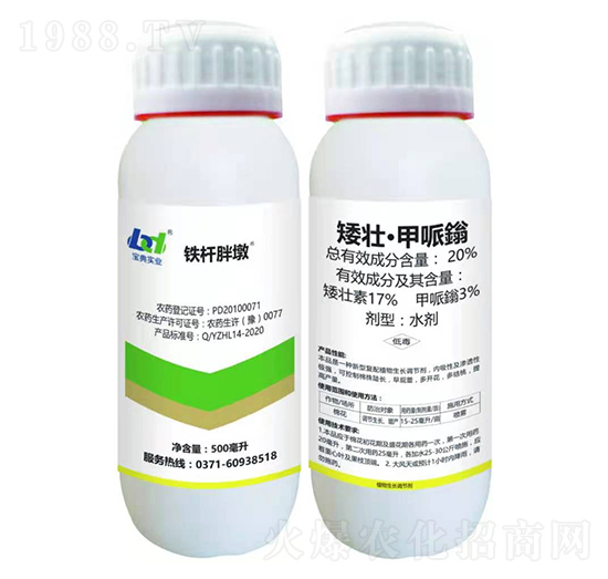 20%矮壯·甲哌鎓-鐵桿胖墩-寶典實(shí)業(yè)