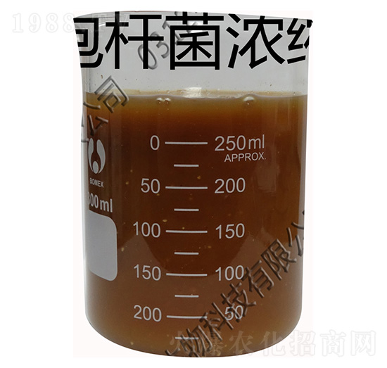 ��(f��)�ϝ�s΢�����Һ-�������