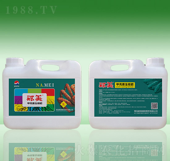 �ך���������-����-���u����