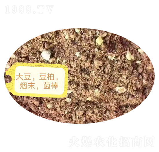 �������ء���ĩ��������-�Z�M�}