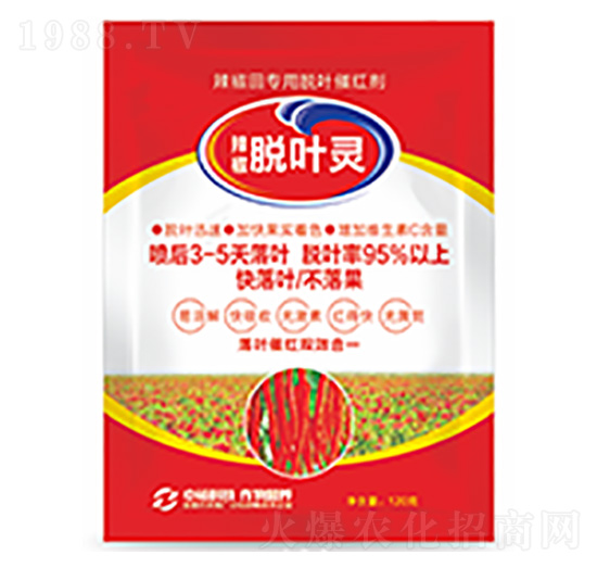 Ó�~�`-�����Ƽ�