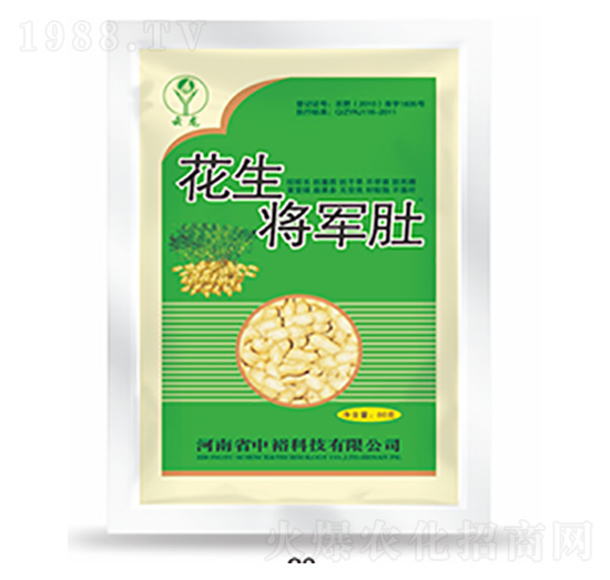 ������܊��-�����Ƽ�