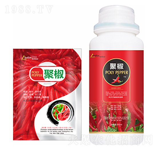 �۽�-�����Ƽ�