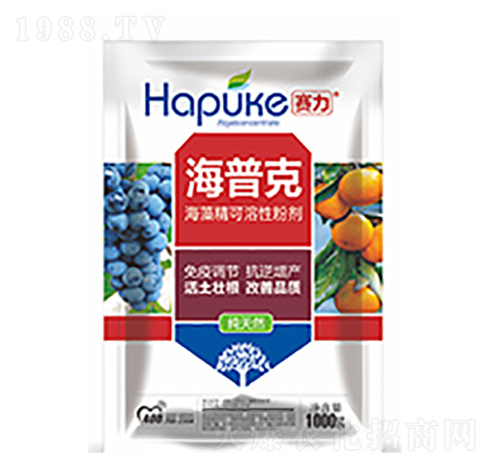 ِ�����տ�-�����Ƽ�