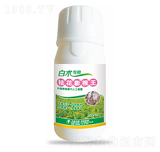 ���g����-�������-�����Ƽ�