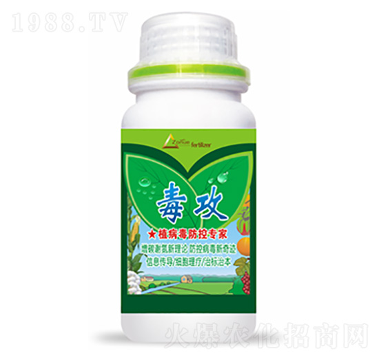 ����-�����Ƽ�