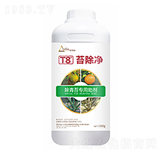 ̦����T8-�����Ƽ�