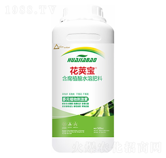 �󶹻�Ӣ��-�����Ƽ�