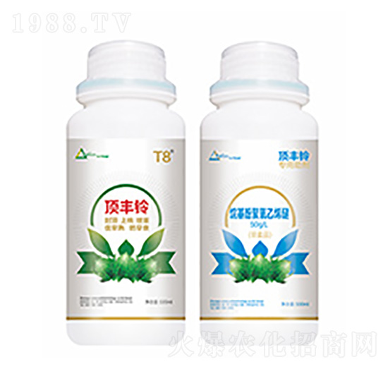 ��S�-�����Ƽ�