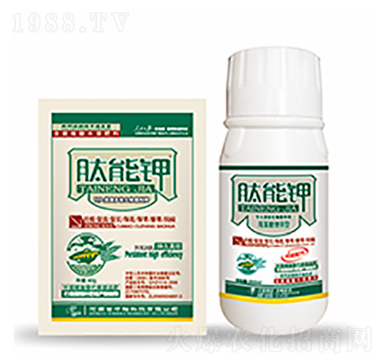 �����-�����Ƽ�