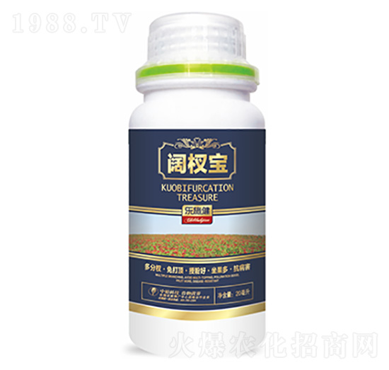 �辌�-�����Ƽ�