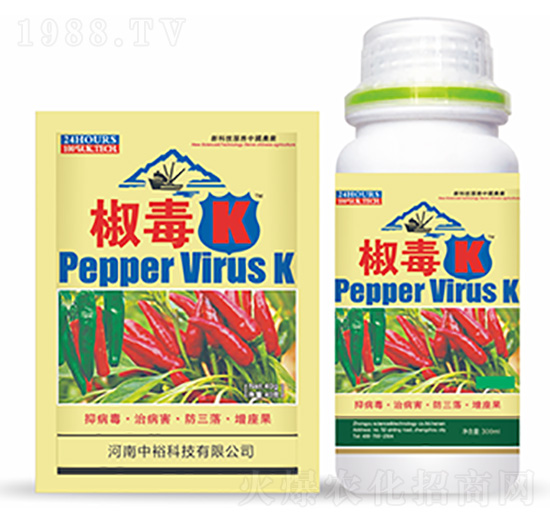 ����K-�����Ƽ�