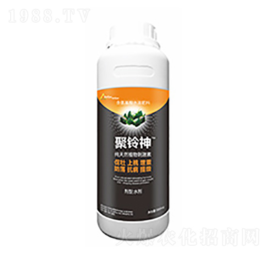 �����-�����Ƽ�