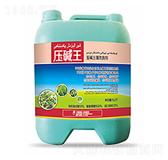 �}�A����������-���A��-��ԣ�Ƽ�