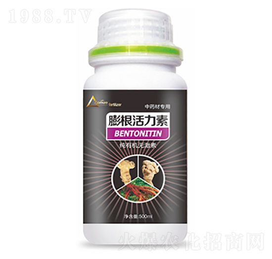 ��ˎ�Č������������-�����Ƽ�