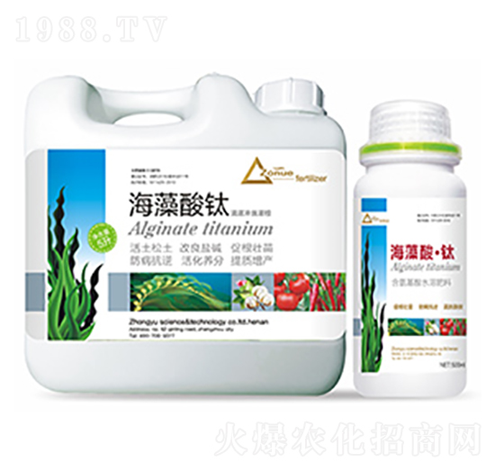 �������-��ԣ�Ƽ�