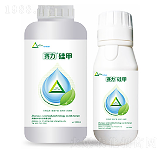 ِ�����-�����Ƽ�