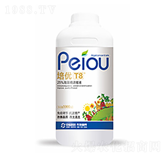 ����(y��u)T8-�����Ƽ�